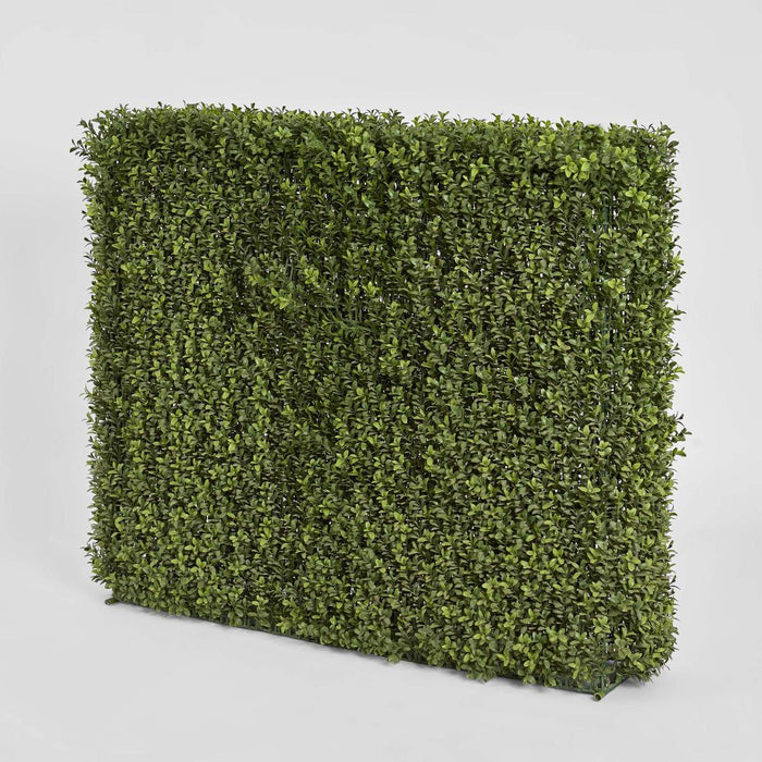 Boxwood Hedge 75x100cm