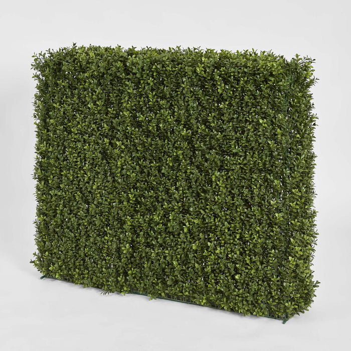 Boxwood Hedge 93x100cm