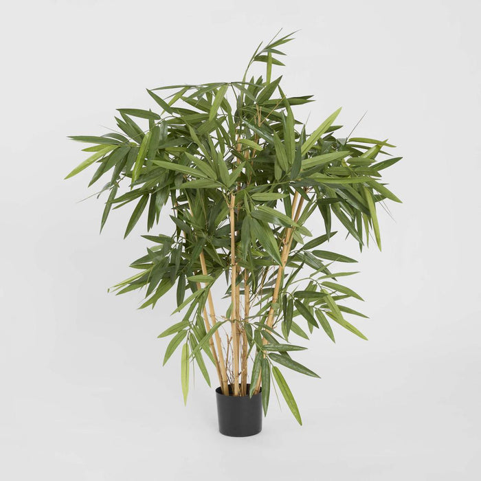 New Bamboo Tree 1m