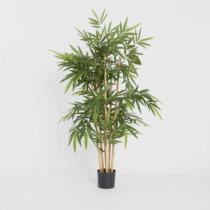 New Bamboo Tree 1.5m