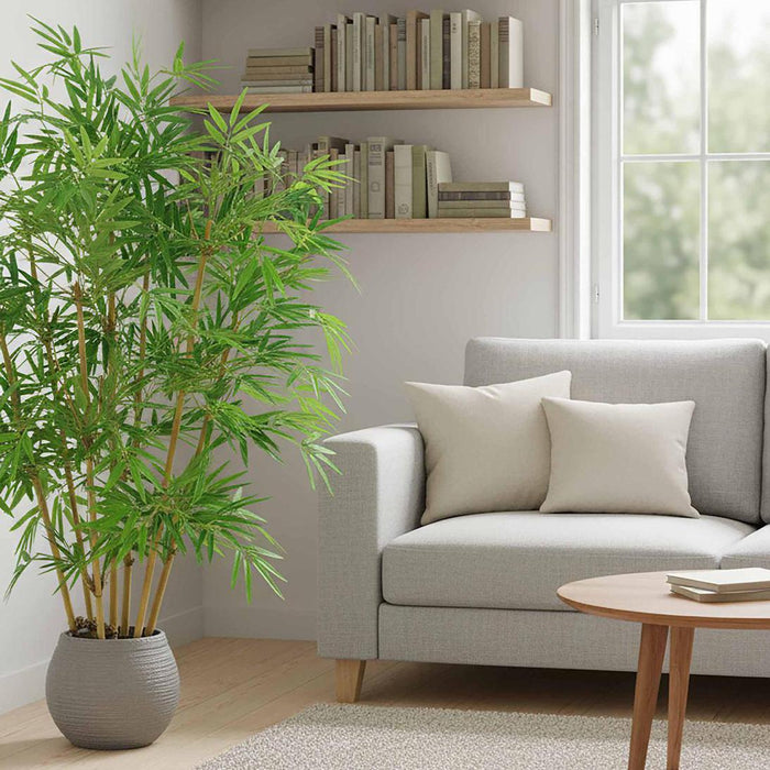 New Bamboo Tree 1.5m