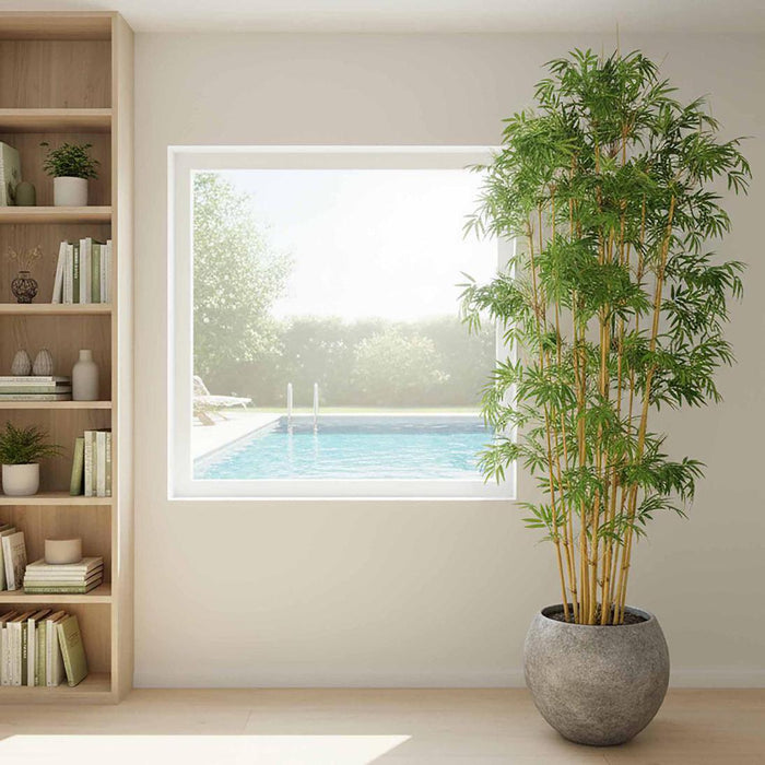 Oriental Bamboo Tree 1.9m