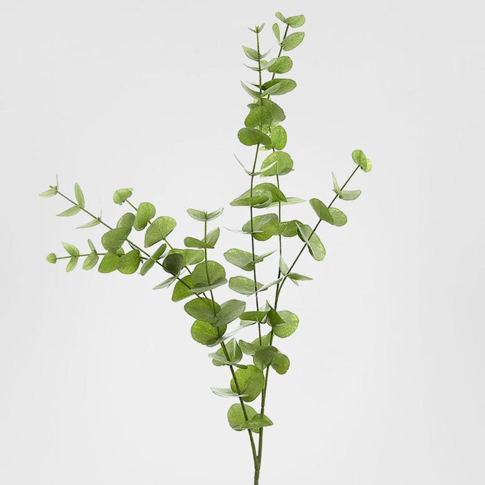 Eucalyptus leaf Spray Long 1m