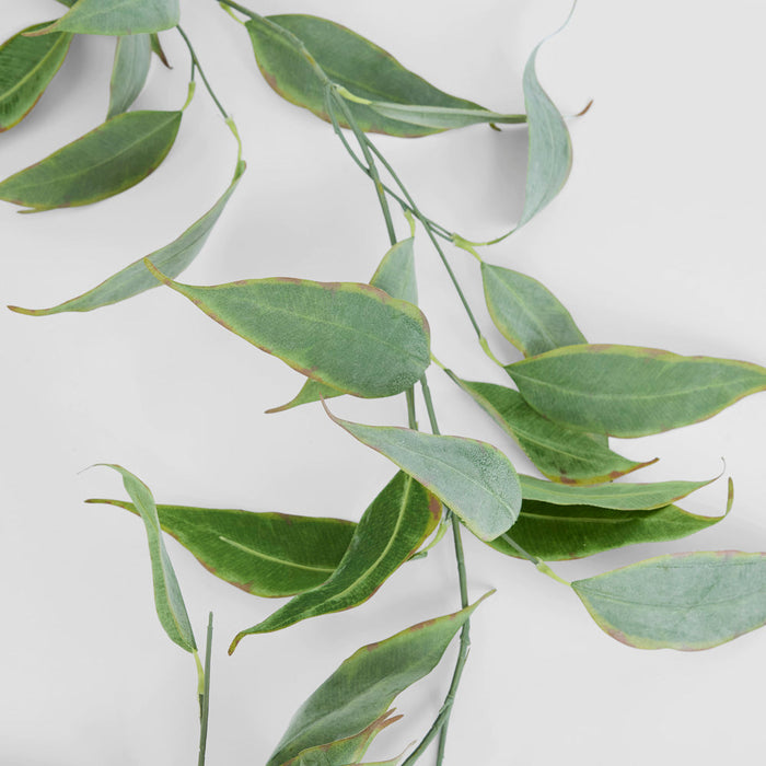 Garland Eucalyptus 1.8m Green & Brown