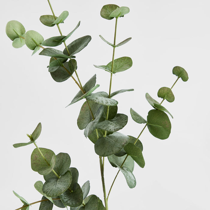 Eucalyptus leaf spray 86cm