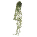NSIMG-SHA256:2d2b9032b8f8ac886193d2f71e58722c61de5e83da3233341b48cca2f9d58896 · Isalbi Rogue Falls Hanging Bush - Garden Pot Green