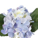 NSIMG-SHA256:7a3e3ce273d75bcdba863b15aa37ff3ea7538c275278275423d9cbd7e6a80d95 · Isalbi Rogue Hydrangea - Clear Glass Vase White