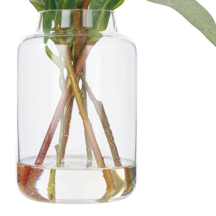 NSIMG-SHA256:3451fe136fd6cd0eb1a0da6698e7285bc8dc7604b4efb527f71eadec869a1f84 · Isalbi Rogue Pitaya Kangaroo Paw - Pauline Vase Cream & Green