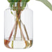 NSIMG-SHA256:3451fe136fd6cd0eb1a0da6698e7285bc8dc7604b4efb527f71eadec869a1f84 · Isalbi Rogue Pitaya Kangaroo Paw - Pauline Vase Cream & Green