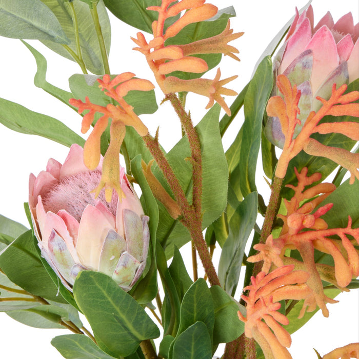 NSIMG-SHA256:52fdf5148cb9354a4fc8cd7bae300b5959b9910ae0f71a486eb3ba06a581199c · Isalbi Rogue Pitaya Kangaroo Paw - Pauline Vase Pink & Yellow