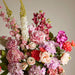NSIMG-SHA256:936e4e603cca1cfe36377ab31b548300de98b97c524ce1416b7abb9e482dd557 · Isalbi Rogue Peony Foxtail Garden Mix - Vintage Urn Pink