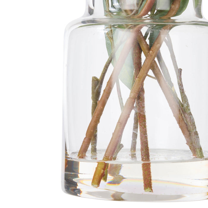 NSIMG-SHA256:17e4da6f8832ca9051649df3ae94052daecb2c826c43def4bea855a84ee6c5c1 · Isalbi Rogue Pitaya Kangaroo Paw - Pail Vase Cream & Green
