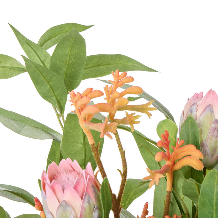 NSIMG-SHA256:9cc9656b2eb8bb6b243f16e223eeeacd9c88ce00762a7dc263a018dee884b7f7 · Isalbi Rogue Pitaya Kangaroo Paw - Pail Vase Pink