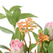 NSIMG-SHA256:9cc9656b2eb8bb6b243f16e223eeeacd9c88ce00762a7dc263a018dee884b7f7 · Isalbi Rogue Pitaya Kangaroo Paw - Pail Vase Pink