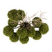 NSIMG-SHA256:3ff1e922bc9166402c84b8a60e49d4faf7303412bc15e592dc37d38365888787 · Isalbi Rogue Allium - Maliah Pot Green