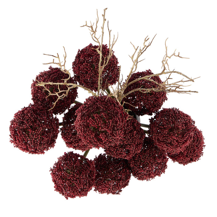 NSIMG-SHA256:cb2872354c349369af5994b46862bfa73ca22e6935a807c83d1afdfeddf68db4 · Isalbi Rogue Allium - Maliah Pot Purple