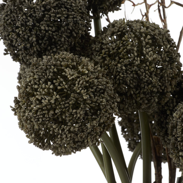 NSIMG-SHA256:c6b6ed659eb9fb371a529835ad6bfff3a08429c370eba82411cc2b4025a9fbc9 · Isalbi Rogue Allium Spray - Maliah Pot Grey