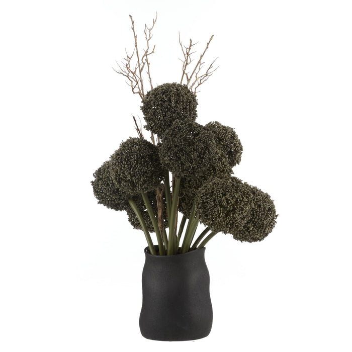 NSIMG-SHA256:ae1409a3021350e3c7c52007aef1d0db94ea3dd9d6076343b2daac91f3bc1ff4 · Isalbi Rogue Allium Spray - Maliah Pot Grey