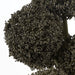NSIMG-SHA256:e25ae43110ca1d3b2d26151eef0860305ac3456239c631e3a7a8dd7cc3aa9d69 · Isalbi Rogue Allium Spray - Maliah Pot Grey