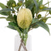 NSIMG-SHA256:19b0ba6a3a8f4653184fef3d41865038e5a47ea25eed3c8eb777180f7e11d80b · Isalbi Rogue Banksia Gumnut Mix - Pauline Vase Green