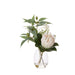 NSIMG-SHA256:d3a5f476bfef08a1b66c34761e063ca831fe211940b95d50a2bc8af4ee40e0d2 · Isalbi Rogue Grand Protea Native Mix - Claire Vase White