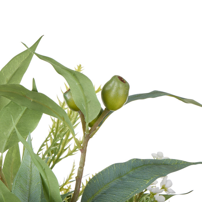 NSIMG-SHA256:749a6a30c23af2a602258dc651868dad2132ff6bb3808f77a1e933311f3bd435 · Isalbi Rogue Grand Protea Native Mix - Claire Vase Green