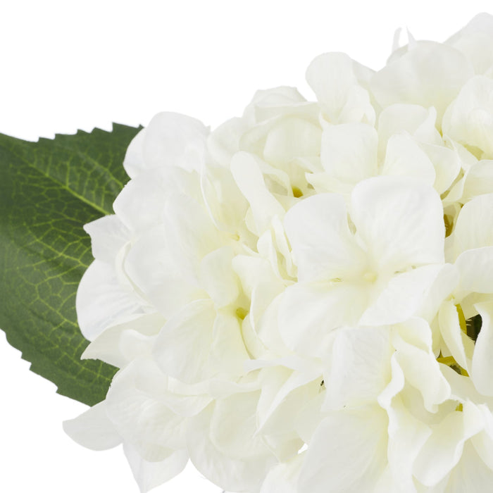 NSIMG-SHA256:d86b0e383e4d87bbc97db04e205c06bbef4838ad7dd5eac489d8210291647fee · Isalbi Rogue Hydrangea - Sphere Vase White