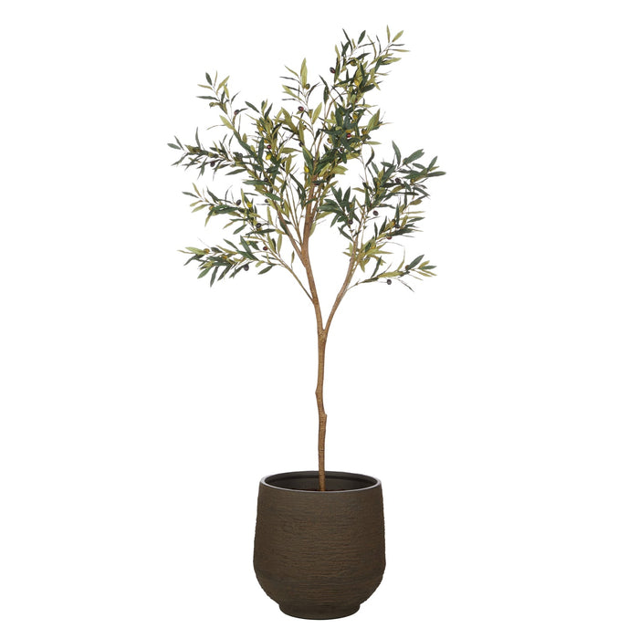 NSIMG-SHA256:f818316ebc18ada8066ef39995bf2fb307f7c099be7bc409bdf0e070e38ba2d3 · Isalbi Rogue Olive Tree - Trillium Planter Green