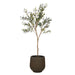 NSIMG-SHA256:f818316ebc18ada8066ef39995bf2fb307f7c099be7bc409bdf0e070e38ba2d3 · Isalbi Rogue Olive Tree - Trillium Planter Green