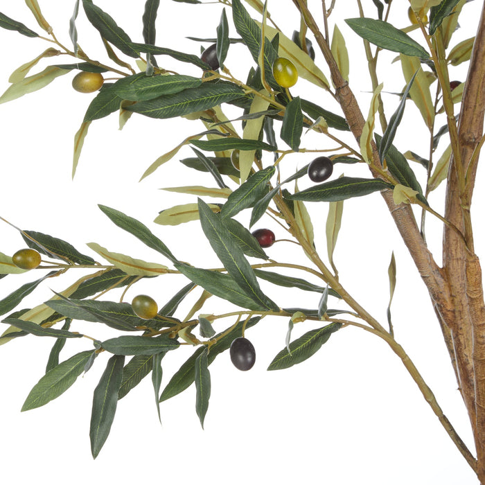 NSIMG-SHA256:be8e69c9cd5ffe4ca3ddf1cd158ed306b5f10700e84024ad62fe319e0c2055ba · Isalbi Rogue Olive Tree - Trillium Planter Green
