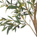 NSIMG-SHA256:be8e69c9cd5ffe4ca3ddf1cd158ed306b5f10700e84024ad62fe319e0c2055ba · Isalbi Rogue Olive Tree - Trillium Planter Green