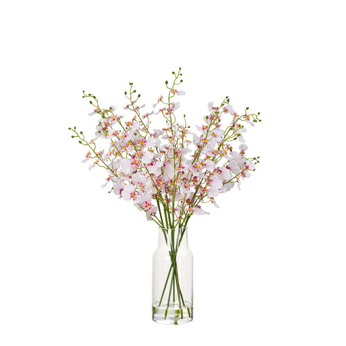 NSIMG-SHA256:0e19d838d7ceb195cea6a5bc2936da90f8c84167d9e9669ec935b53158414230 · Isalbi Rogue Dancing Orchid - Rachel Vase Pink