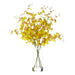 NSIMG-SHA256:0f9ea7ac17a0bea97a565415ee30a17e4ea6b7467741f3239f11a644ae13c4af · Isalbi Rogue Dancing Orchid - Rachel Vase Yellow & Clear
