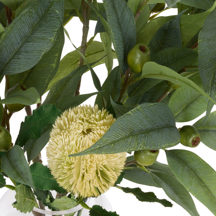 NSIMG-SHA256:29745b3c17c23fabaafba49f6a12d82ace351fecfc1ea7673c5d2a93249d544f · Isalbi Rogue Native Banksia Gum Nut Mix - Pauline Vase Green