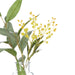 NSIMG-SHA256:1a09af25b5970f234a8b9971b46a3c214995621eb42a03bb60e086654cab8054 · Isalbi Rogue Eucalyptus Wattle Mix - Specimen Bottle 6pcs/2 Assorted Green & Glass