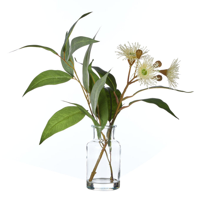 NSIMG-SHA256:520747a1ff5c475fb404e82045be4166bbbc4aef3bab9bf32a36cadcd0b4613f · Isalbi Rogue Eucalyptus Wattle Mix - Specimen Bottle 6pcs/2 Assorted Green & Glass