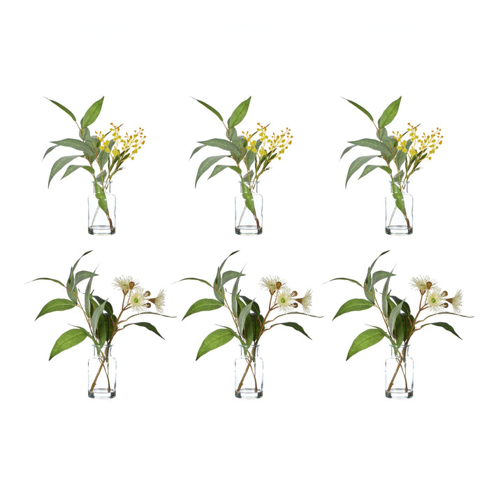 NSIMG-SHA256:ba62f0f75d2b2c300a2fab250c70ec360340b49d610d15529c952526b17509bc · Isalbi Rogue Eucalyptus Wattle Mix - Specimen Bottle 6pcs/2 Assorted Green & Glass