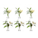 NSIMG-SHA256:ba62f0f75d2b2c300a2fab250c70ec360340b49d610d15529c952526b17509bc · Isalbi Rogue Eucalyptus Wattle Mix - Specimen Bottle 6pcs/2 Assorted Green & Glass