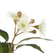 NSIMG-SHA256:7341fb48433eab33c6c9775f3618ae5c1af1ab4950d96bdf4d2752e5528e4ebb · Isalbi Rogue Eucalyptus Wattle Mix - Specimen Bottle 6pcs/2 Assorted Green & Glass