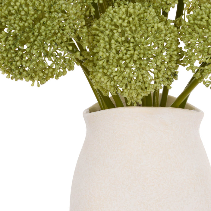 NSIMG-SHA256:27156213bb3defd4bcd44a8780b1016ebffb46e6d2fdcd46f15e36591ee986a2 · Isalbi Rogue Buddleia - Maliah Pot Green