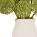 NSIMG-SHA256:27156213bb3defd4bcd44a8780b1016ebffb46e6d2fdcd46f15e36591ee986a2 · Isalbi Rogue Buddleia - Maliah Pot Green