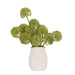 NSIMG-SHA256:1eb4a8e8edfc54bf0c231d515d1804ff8f6160ab84577efcbf679286eb036781 · Isalbi Rogue Buddleia - Maliah Pot Green