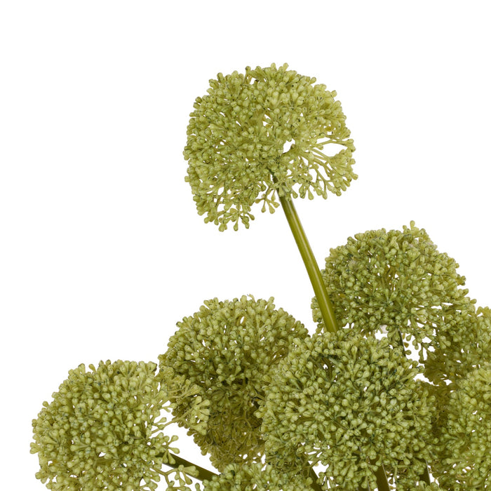 NSIMG-SHA256:9cdaef619f16c9da5bb13fdebe83d7056b3bb23d2d21ba03fd4fed4f8e521aae · Isalbi Rogue Buddleia - Maliah Pot Green