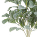 NSIMG-SHA256:ae168ef993b4c1d6cd75371833564ede3c6b6ad99c2a697a2e76a225f7d60919 · Isalbi Rogue Lambs Ear Spray Bunch Green