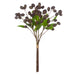 NSIMG-SHA256:a50284041dc6cf84c14134eceacf0b5fbbcb1a6b0ba9aabfb2b5751fe0b7bdd8 · Isalbi Rogue Olea Gum Nut Spray Bunch Purple