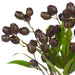NSIMG-SHA256:77f5dbc3cdc16bfa760eef70bd062e432fe9654d3a7b2d1a1ba7b8f03f49c355 · Isalbi Rogue Olea Gum Nut Spray Bunch Purple