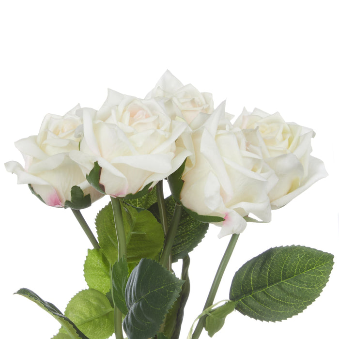 NSIMG-SHA256:3968c0d252eb6a00c425dd8a1c7ecb56b42217f88205542babb753ec77f54d2d · Isalbi Rogue Mimi Rose Bunch Light Pink