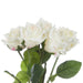NSIMG-SHA256:3968c0d252eb6a00c425dd8a1c7ecb56b42217f88205542babb753ec77f54d2d · Isalbi Rogue Mimi Rose Bunch Light Pink