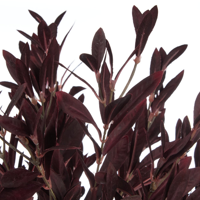 NSIMG-SHA256:ec77f5074c023814533e942224a264a8336f5885dae5901515bc6c695ff5bb7c · Isalbi Rogue Olive Leaf Spray Bunch Burgundy