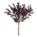 NSIMG-SHA256:a313b098a4e657f5cf73f69e7c525a97ffc88cee246471302ee6751123a7fc63 · Isalbi Rogue Olive Leaf Spray Bunch Burgundy